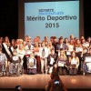 SE ENTREGARON LAS MEDALLES AL MERITO DEPORTIVO 2015 DEL EMDeR
