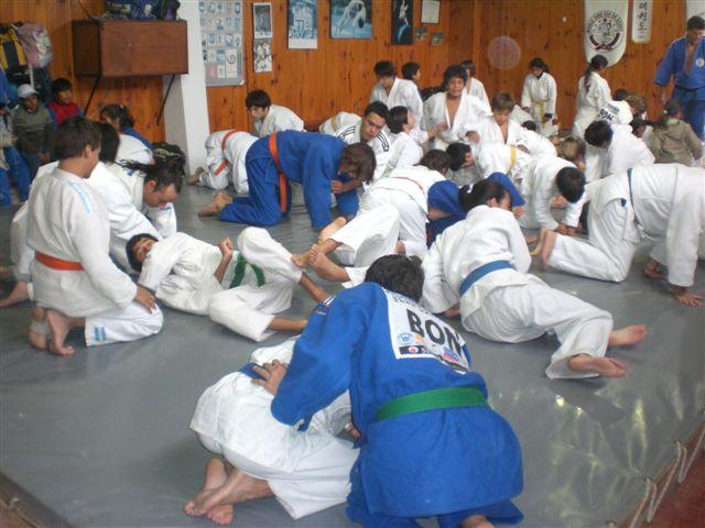 Judokas en Pleno entrenamiento Conjunto