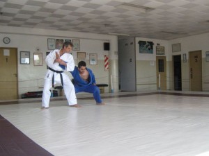 Participantes del seminario desarrollando la Goshin Jitsu .